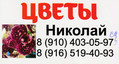 Component Николай