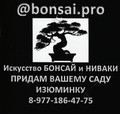 Премна