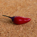 Seeds Перец Сочинский